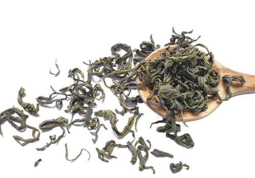 Tra shan tuyet moc chau