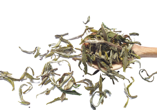 Tra co thu moc chau (4)