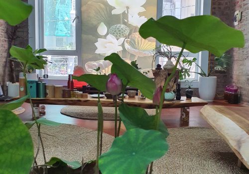 Quán trà đạo đẹp ở hà nội