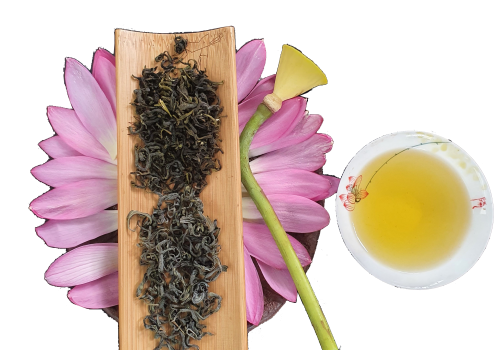 trà shan ướp sen