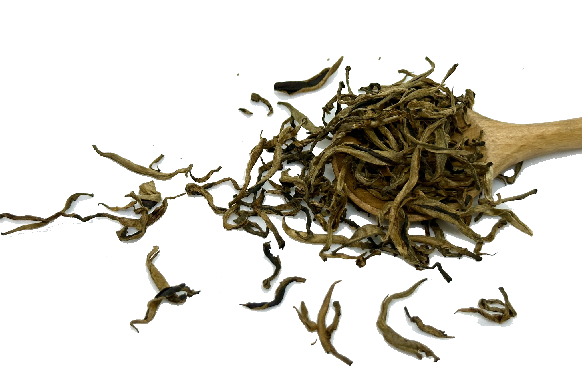 Bach dinh hong (2) copy